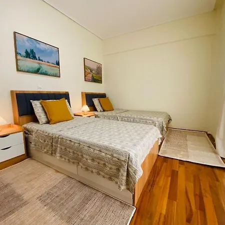 Apartment 地铁站旁，免费停车，安静舒适街区，精品两卧室大露台公寓，治安好